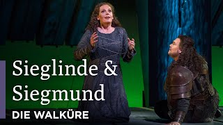 Sieglinde amp Siegmund  Die Walküre  Great Performances at the Met [upl. by Yasmar]