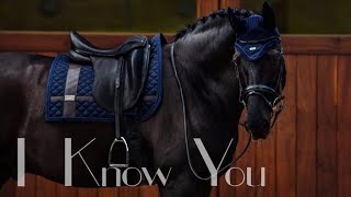 I Know You  Dressage Music Video [upl. by Weslee]