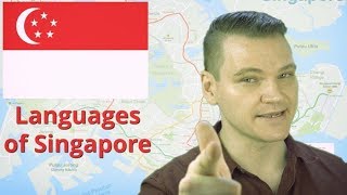 SINGAPORE and its Languages [upl. by Htiduy894]