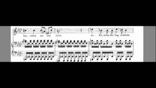 Nacht Und Traüme Accompaniment Schubert Low voice Ab [upl. by Quinlan222]