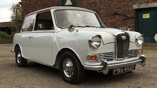 The Wolseley Hornet Is a Posh Classic Mini [upl. by Vilberg]