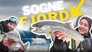 Sjøørretfeber i Januar Utforsker Sognefjorden med Dripfiske [upl. by Estren907]