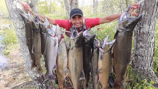 Pesca Y cocina De Salmon Gigantes 2020 Video 1 [upl. by Ydde]