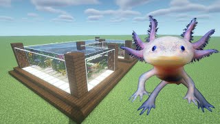 How To Make an Axolotl Farm in Minecraft PE [upl. by Haiacim152]