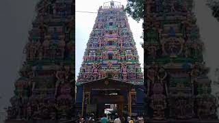 Kalika Durga parameshwari temple shortsshortsfeed [upl. by Nigen]