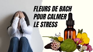 Mystères des Fleurs de Bach pour Calmer le Stress [upl. by Boulanger]