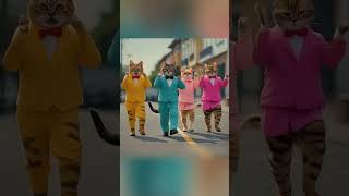 Crazy Cats Dancing [upl. by Carn]