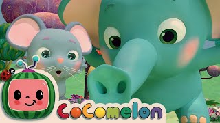 1 HOUR CoComelon Nursery Rhymes amp Kids Songs  The Sneezing Song [upl. by Llerej593]