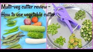 multi veg cutter review  how to use veg cutter live demo [upl. by Nywde184]