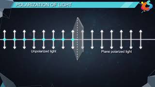 16  Class 12  Physics  Wave Optics  Polarisation [upl. by Alanah]