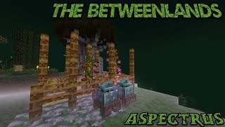 Aspectrus Seed Growth Betweenlands In Depth TutorialsSpotlight EP 18 [upl. by Mendel]