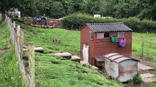 Swanston Farm Country Walk [upl. by Varhol]