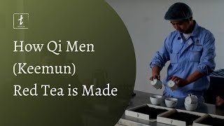 How Qi Men Keemun Red Tea is Made [upl. by Farmann]