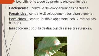 Le rôle des produits phytosanitaires [upl. by Imit]