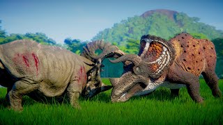 Triceratops vs Sinoceratops Herd Fighting Over Territory  Jurassic World Evolution Dinosaurs Battle [upl. by Varhol]