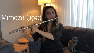 Mimoza Çiçeği  Flüt Solo [upl. by Ttnerb]