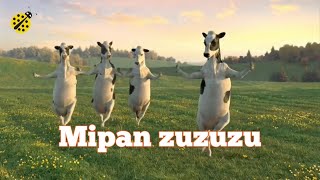 Mipan Zuzu  mipan zuzuzu Original Video [upl. by Montagu846]