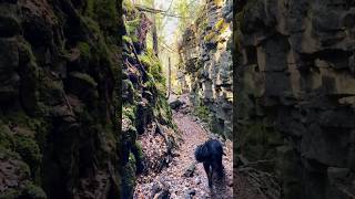 Hiking at Nottawasaga Bluffs Conservation Area 노타와사가 블러프스 하이킹 hiking hikingwithdogs brucetrail [upl. by Aurita942]