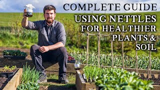 Amazing Way to Use NETTLES to Improve Seedling Success [upl. by Greenfield]