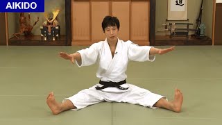 Aikido  Lets improve your UKEMI！Shirakawa Ryuji shihan [upl. by Rosamond]