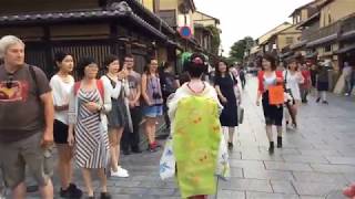 Ep 3 Geishaspotting In search of geisha in the Gion district of Kyoto Japan [upl. by Nahtannhoj874]