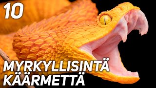 10 MAAILMAN MYRKYLLISINTÄ KÄÄRMETTÄ [upl. by Ettenil]