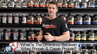 What Is The Difference Between Whey Protein amp Casein Protein MassiveJoescom MJ QampA Micellar [upl. by Avevoneg760]