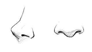 How to draw noses understanding the structure of the nose [upl. by Ynneh]