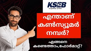 How to Find Your Consumer Number Consumer Number KSEB [upl. by Koerner]