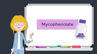 quotMycophenolate Mofetil Pharmacology Flash Card Guidequot [upl. by Bathulda737]