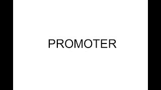 PROMOTERS  Their functions status and remuneration [upl. by Aleahpar297]