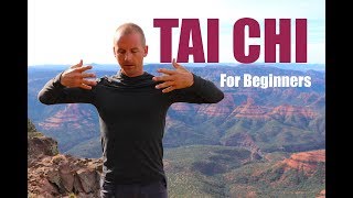 7 Tai Chi Moves for Beginners  15 Minute Daily Taiji Routine [upl. by Yedarb]