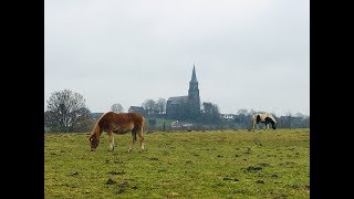 VVV wandelroute Mechelen [upl. by Llennyl684]