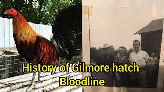 Gilmore Hatch History [upl. by Monique]