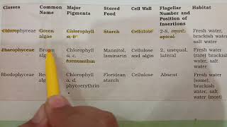Comparison between Chlorophyceae Phaeophyceae and Rhodophyceae Ch 3 ClassXI [upl. by Daryl]