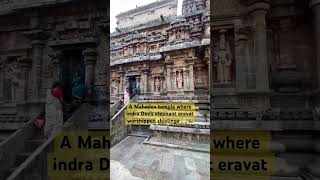 Airavatesvara temple where indra dev elephant🐘 eravat worshipped shivlinga harharmahadev mahadev [upl. by Aleciram]