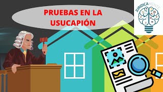 PRUEBAS EN LA USUCAPIÓN [upl. by Alleoj]