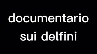 documentario sui delfini [upl. by Anitnas]