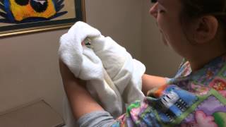 LowStress Toweling Techniques [upl. by Oeram]