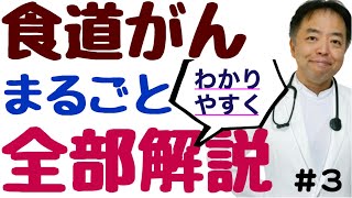 【がん治療医が解説】食道がん・まるごと全部解説3 [upl. by Lahcsap]