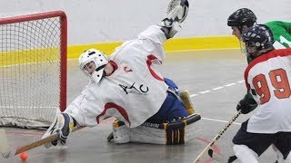 Crazy Ball Hockey GoalsSavesScrums [upl. by Wassyngton]