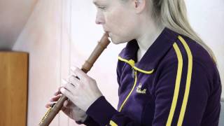 Blockflöte Sounds of the Modern Soprano recorder [upl. by Adnohsel657]