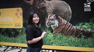 Keeper Talks Intro 👉👉 Yangon Zoo ရဲ့ Keeper talk အစီအစဉ် [upl. by Whitby]