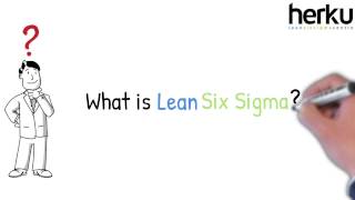 Lean Six Sigma Explained  animation [upl. by Tennaj]