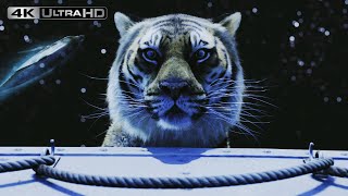 Life Of Pi 4K HDR  What Do You See [upl. by Halueb]