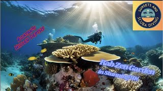 Diving Adventure at Rabs Zen Garden Roatan Honduras [upl. by Aiek]