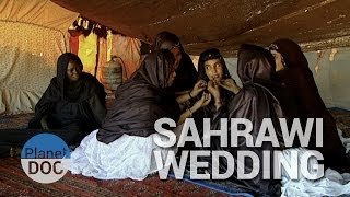 Sahrawi wedding  Culture  Planet Doc Full Documentaries [upl. by Kcirnek]