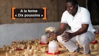 Burkina Faso  A la ferme « Dix poussins » [upl. by Flip]