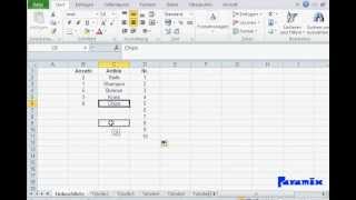 Excel Grundlagen Aufteilung Drag amp Drop Formatierung Inhalte amp Muster Übertragen [upl. by Clayborne181]