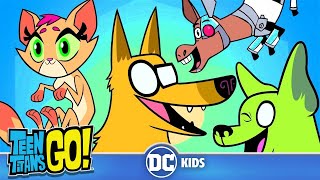 Teen Titans Go En Latino  El deseo de los animales  DC Kids [upl. by Ez]